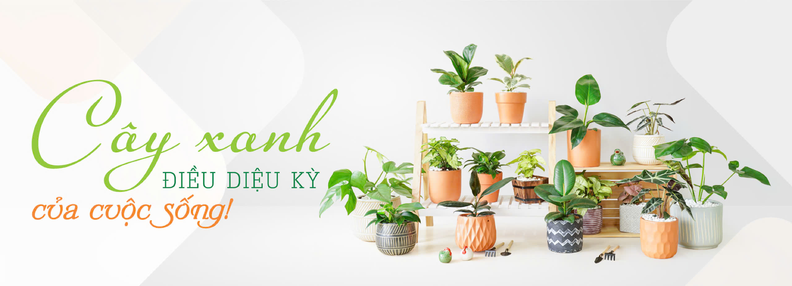 Chợ Hoa Kiểng Quận 11