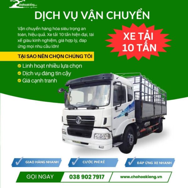 CHK Mai Tết Sum Vầy | Cho Thuê Mai Tết Giá Rẻ | Chợ Hoa Kiểng