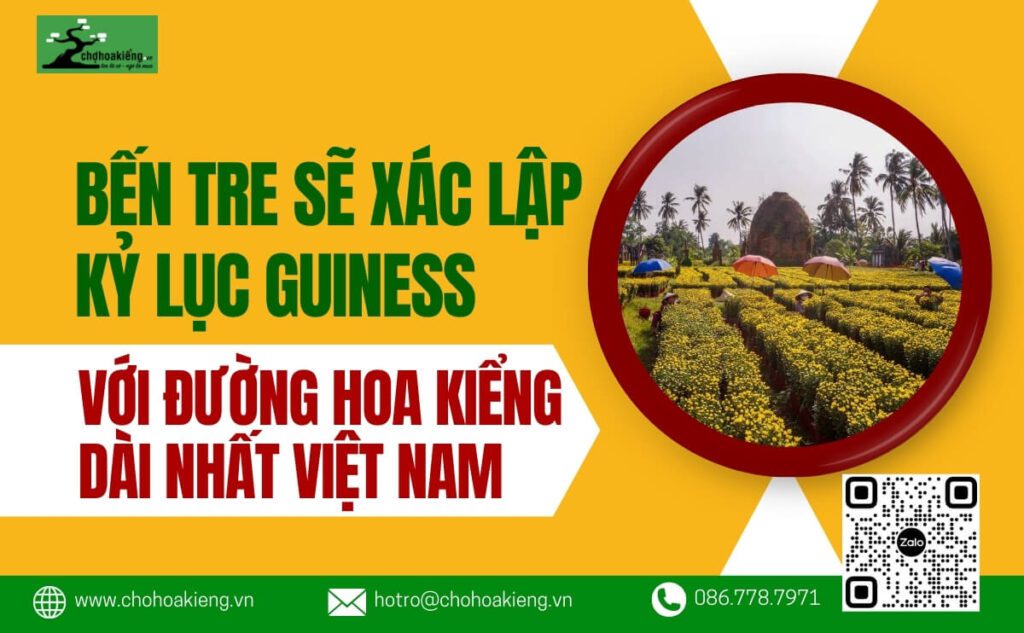 Bến Tre Sẽ Xác Lập Kỷ Lục Guiness Với Đường Hoa Kiểng Dài Nhất Việt Nam Tại Huyện Chợ Lách Vào Tết 2025 - Chợ Hoa Kiểng