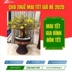 CHK Mai Tết Gia Đình Đón Tết | Cho Thuê Mai Tết Giá Rẻ | Chợ Hoa Kiểng