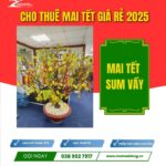 CHK Mai Tết Sum Vầy | Cho Thuê Mai Tết Giá Rẻ | Chợ Hoa Kiểng