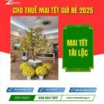 CHK Mai Tết Tài lộc | Cho Thuê Mai Tết Giá Rẻ | Chợ Hoa Kiểng