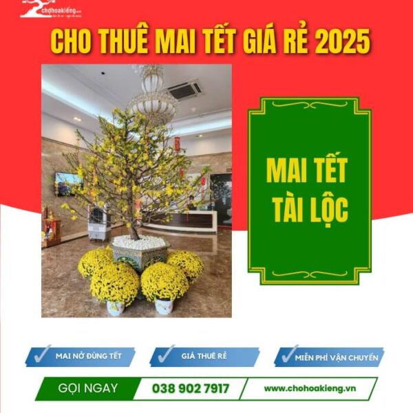 CHK Mai Tết Tài lộc | Cho Thuê Mai Tết Giá Rẻ | Chợ Hoa Kiểng