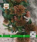 Cây Trang Mỹ Hồng - Cửa Hàng Cây Giống Chợ Lách 4