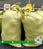 Cỏ Lá Rừng - Cửa Hàng Cây Giống Chợ Lách 2