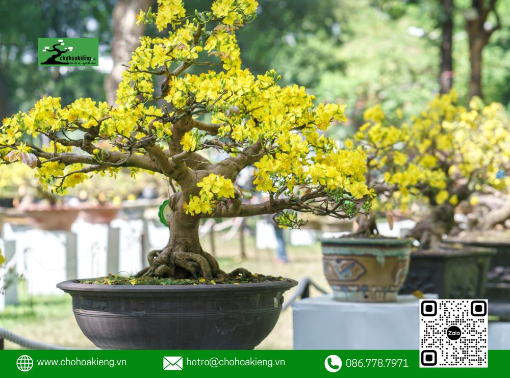 Với Phương Thức Thanh Toán Trực Tuyến Tiện Lợi Cùng Dịch Vụ Giao Hàng Tận Nơi, Quá Trình Mua Sắm Trở Nên Đơn Giản Và Thuận Tiện