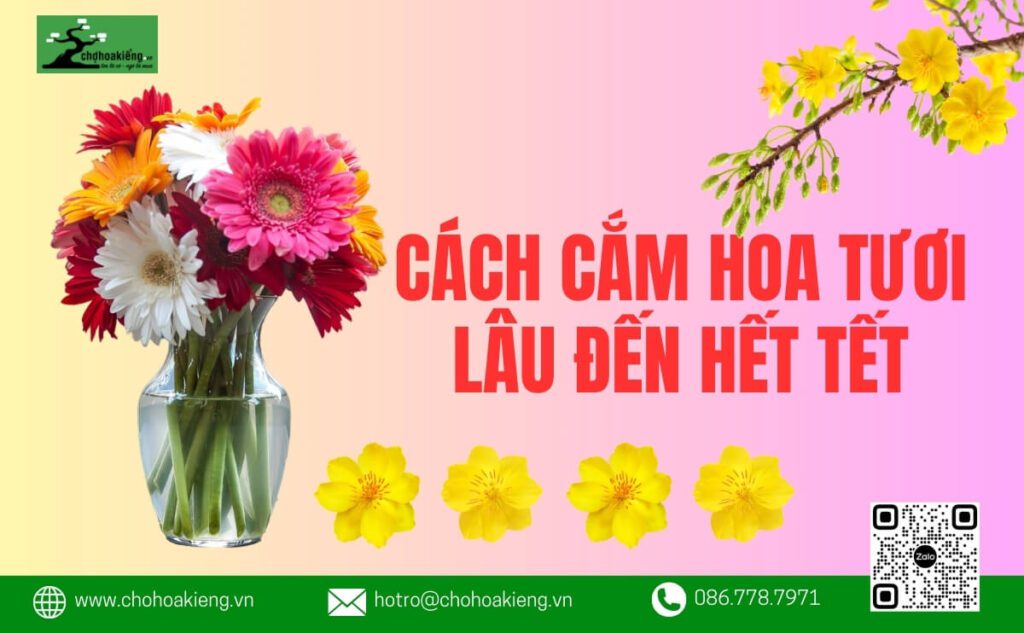 Top 10+ Cách Cắm Hoa Tươi Lâu Đến Hết Tết Vẫn Chưa Tàn - Chợ Hoa Kiểng 5