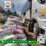 Trấu - Cửa Hàng Cây Giống Chợ Lách