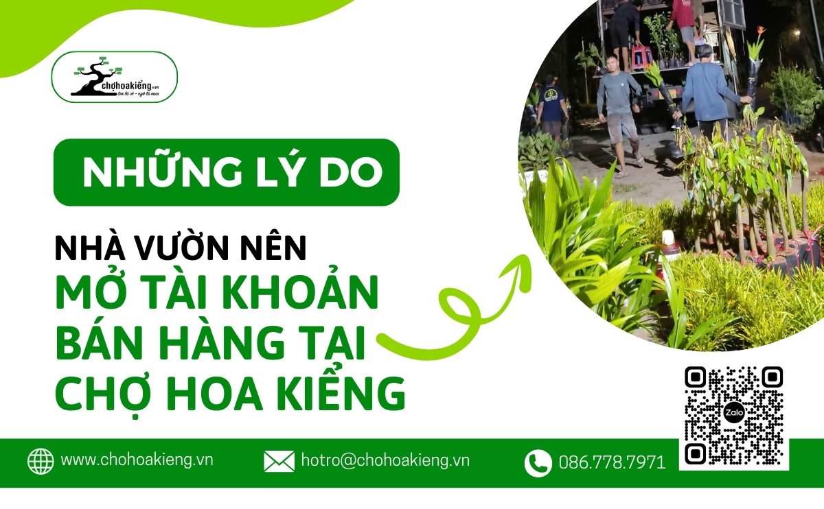 Vì Sao Nhà Vườn Nên Mở Tài Khoản Bán Hàng Tại Chợ Hoa Kiểng? 1 Vì Sao Nhà Vườn Nên Mở Tài Khoản Bán Hàng Tại Chợ Hoa Kiểng 1
